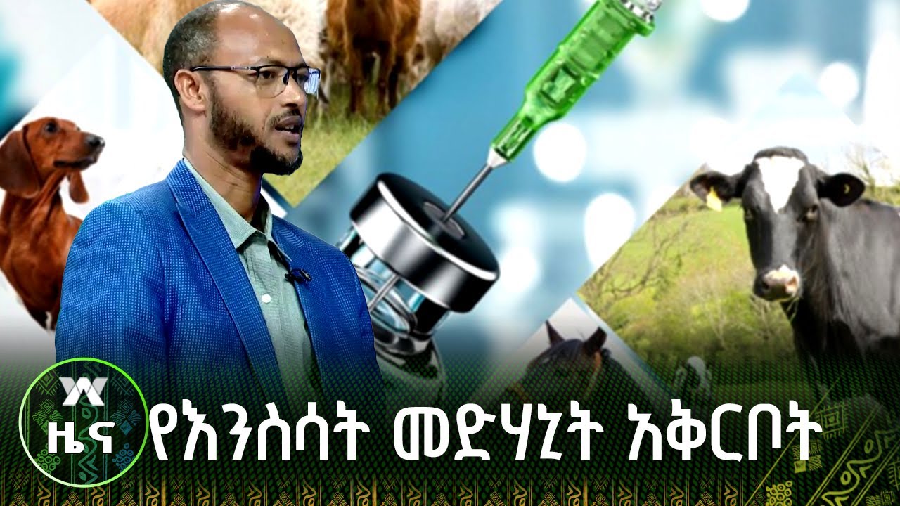 የእንስሳት መድሃኒት አቅርቦት