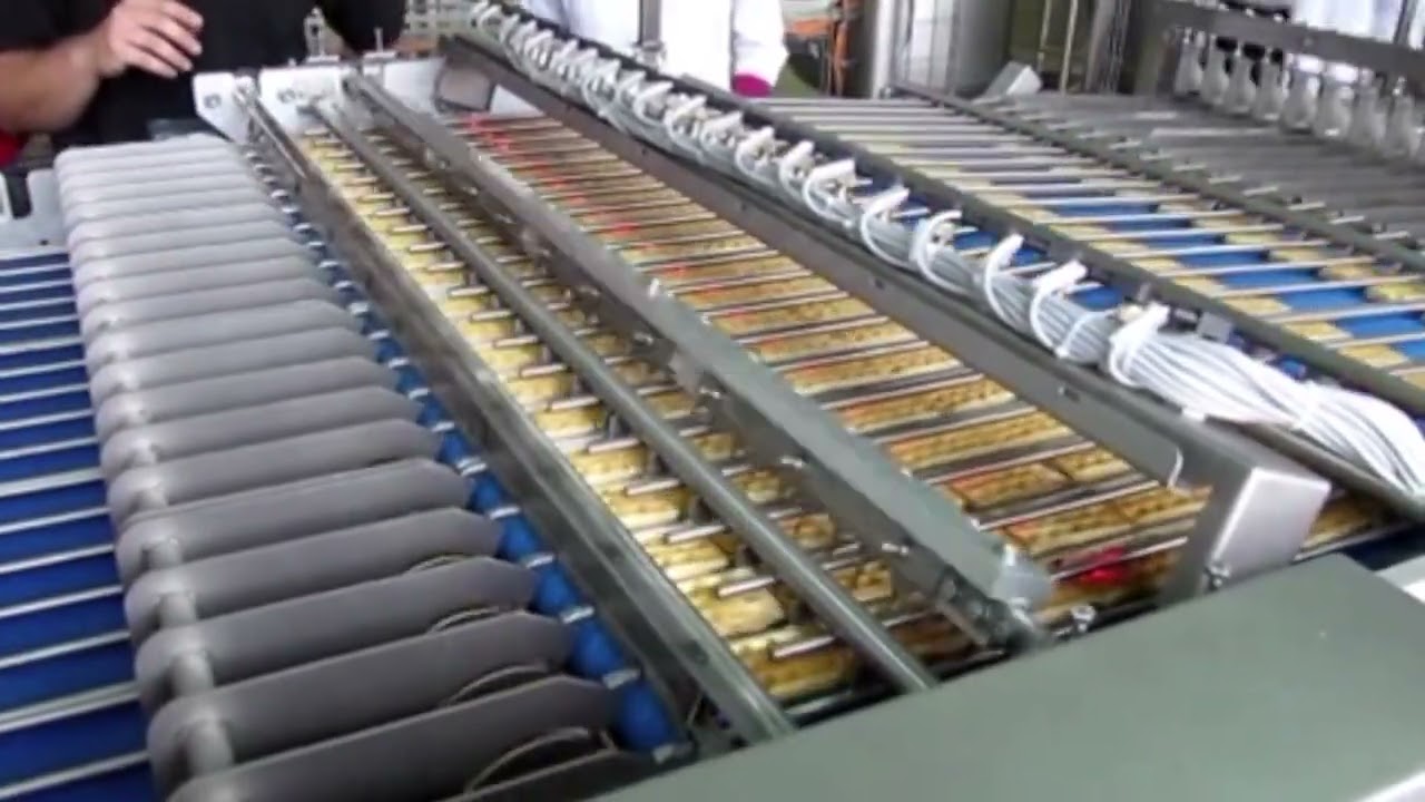 Soft Waffle production line. Made by VanderPol as a brand of Sugden Ltd.