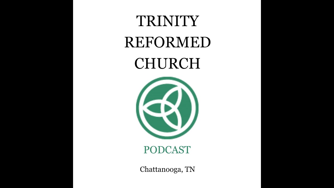 Homily - Minding Your Own Business
