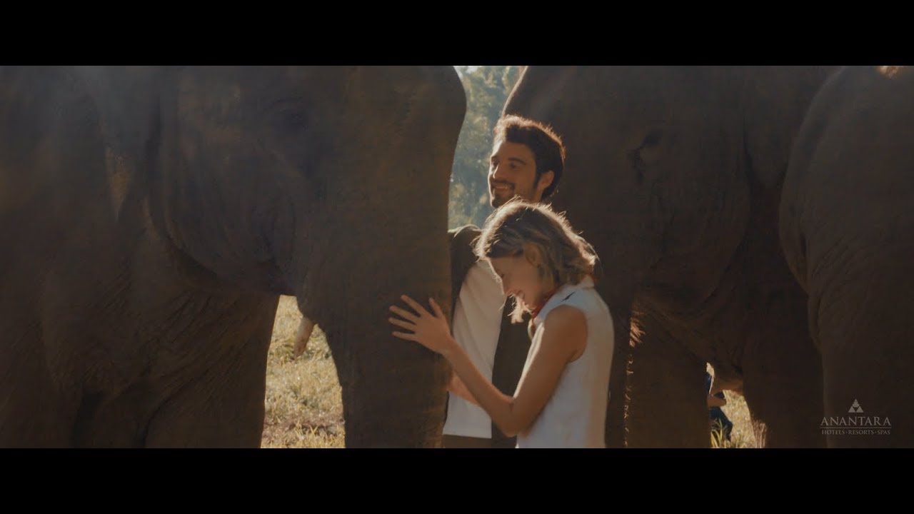 Anantara Golden Triangle Elephant Camp & Resort