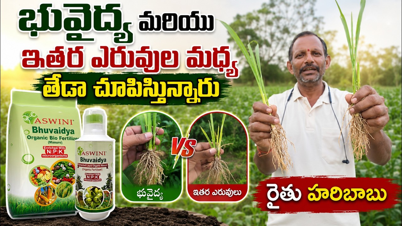 Aswini Bhuvaidya – User Experience - Part 1 | Farmer Haribabu | Khammam District