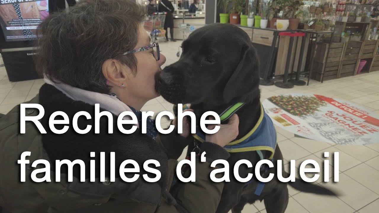 Recherche familles d‘accueil #tvsevreetmaine