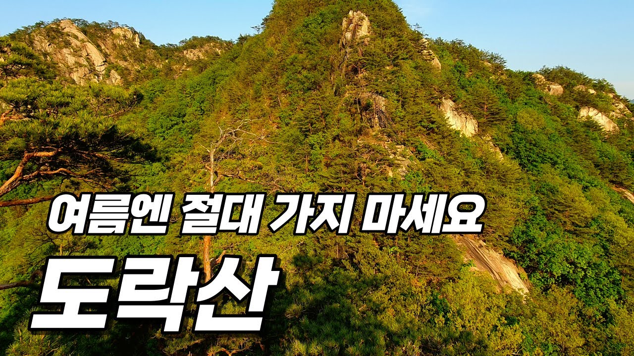 도락산 _ 여름엔 말리고 싶습니다 _ 지금 다녀오세요