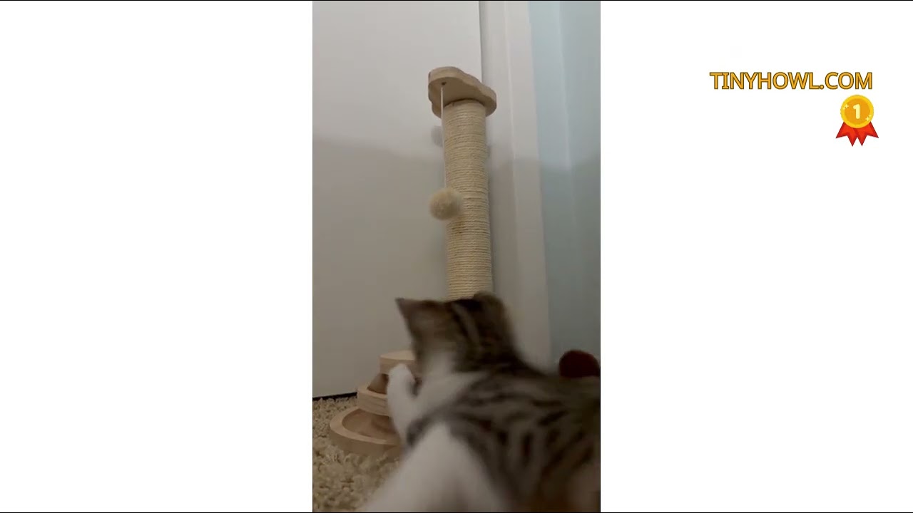 Review MADE 4 PETS Made4Pets Cat Scratching Post Cat Scratcher Kitten Toys for Indoor Cats Wooden Ba