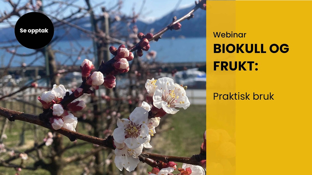Webinar: Biokull og frukt