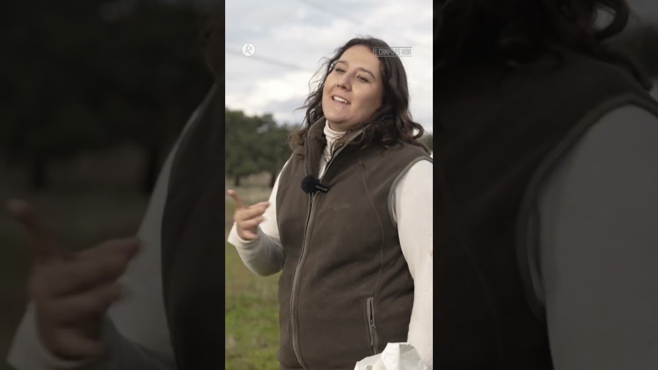 María Mora, veterinaria y ganadera equina, nos presenta su yeguada y su amor por los caballos🐎