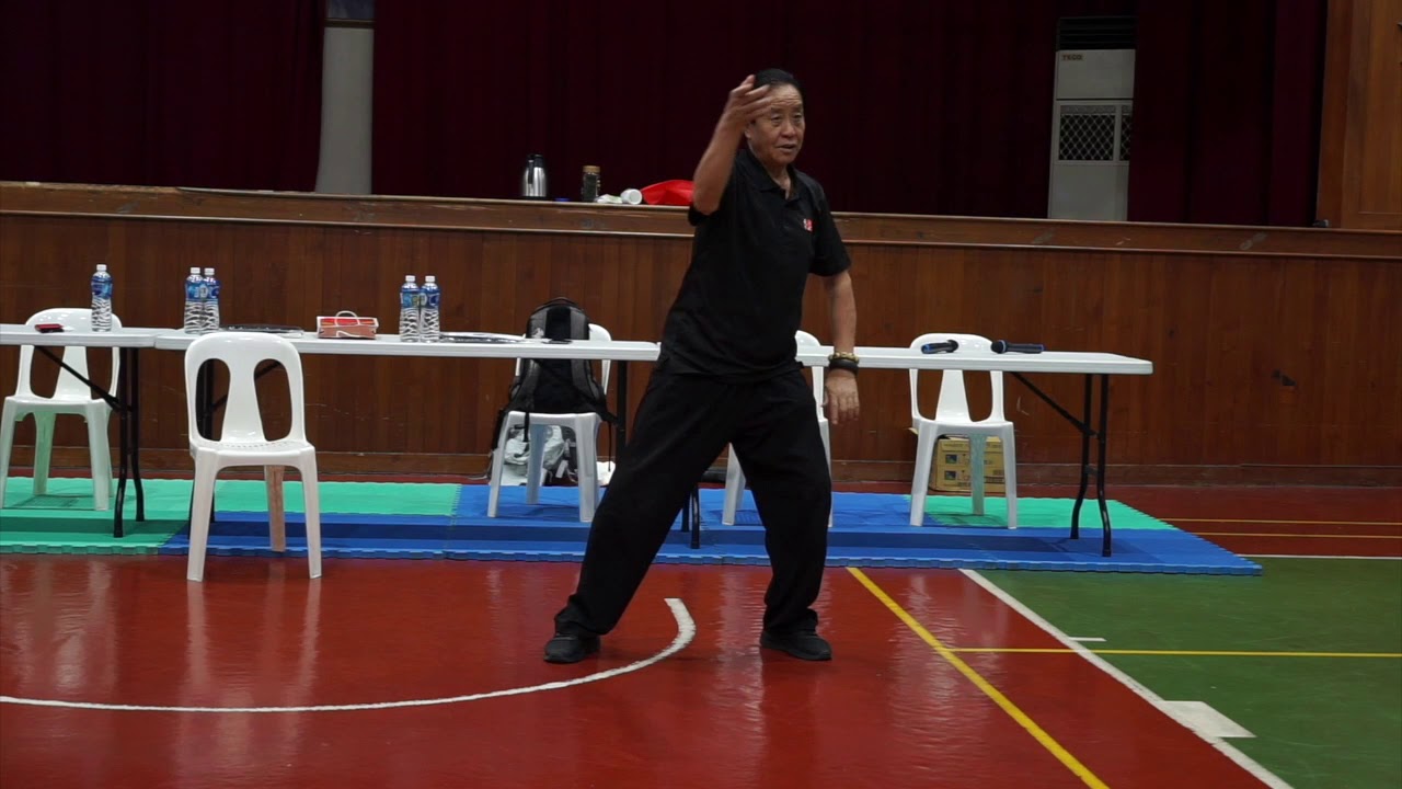 Silk Reeling Foundation - Essential part of Tian Cai Training System - Chen Tai Chi (Perth)