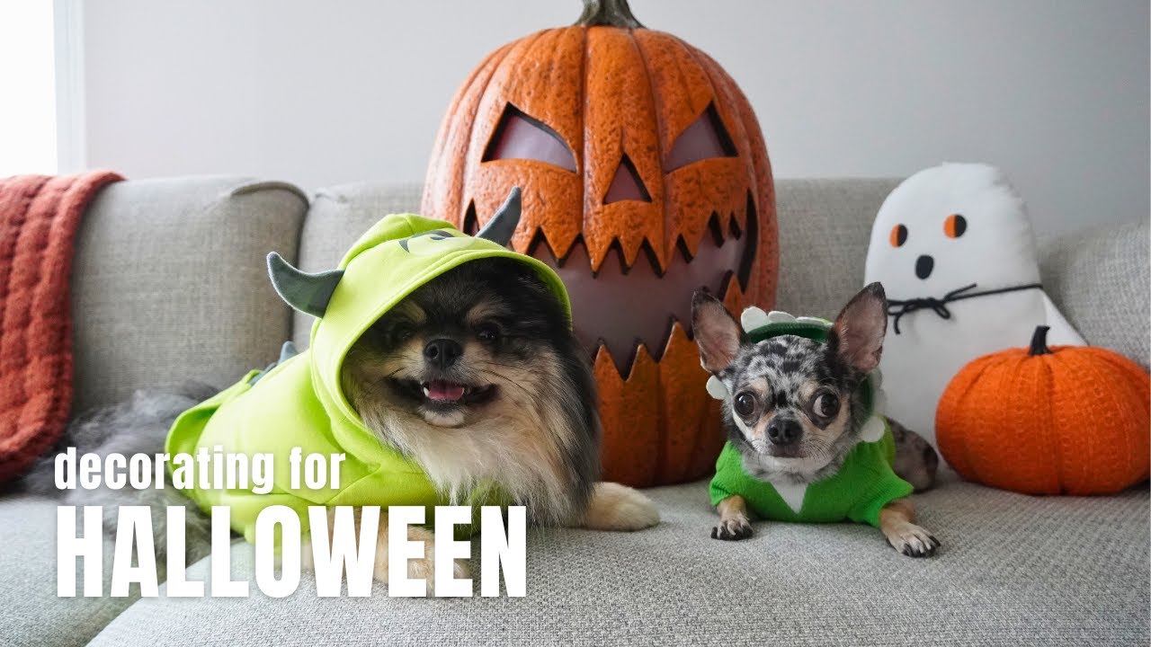 Decorating for Halloween 2023 with Our Dogs | Life in NYC