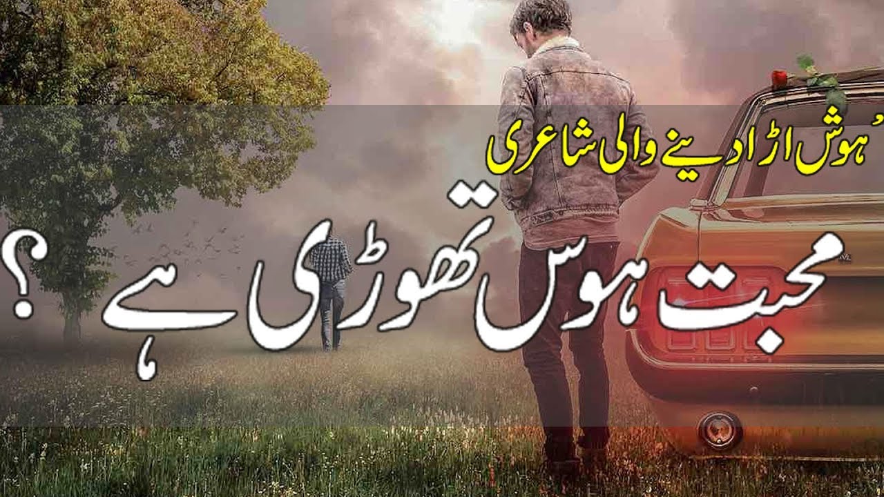 2 Line Deep Heart Touching Poetry | Poetry With Music | Break Up Poetry | Zubair Maqsood |