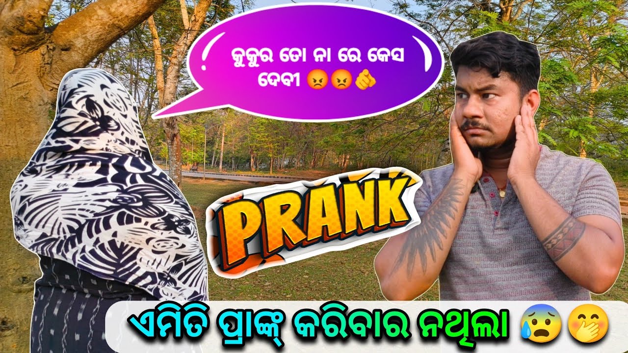 ଏମିତି ପ୍ରାଙ୍କ କରିବାର ନଥିଲା #mrsangramodiavlogs 