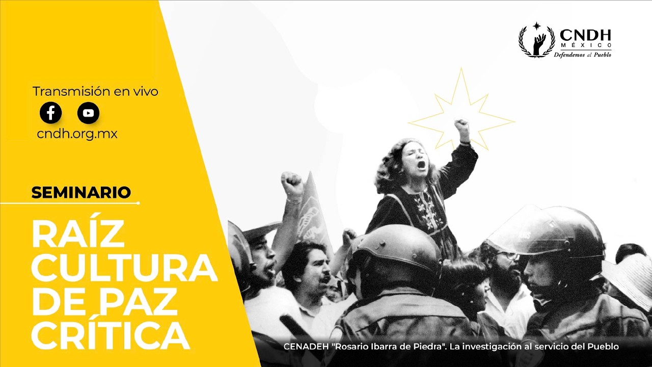 Seminario Raíz Cultura De Paz Critica