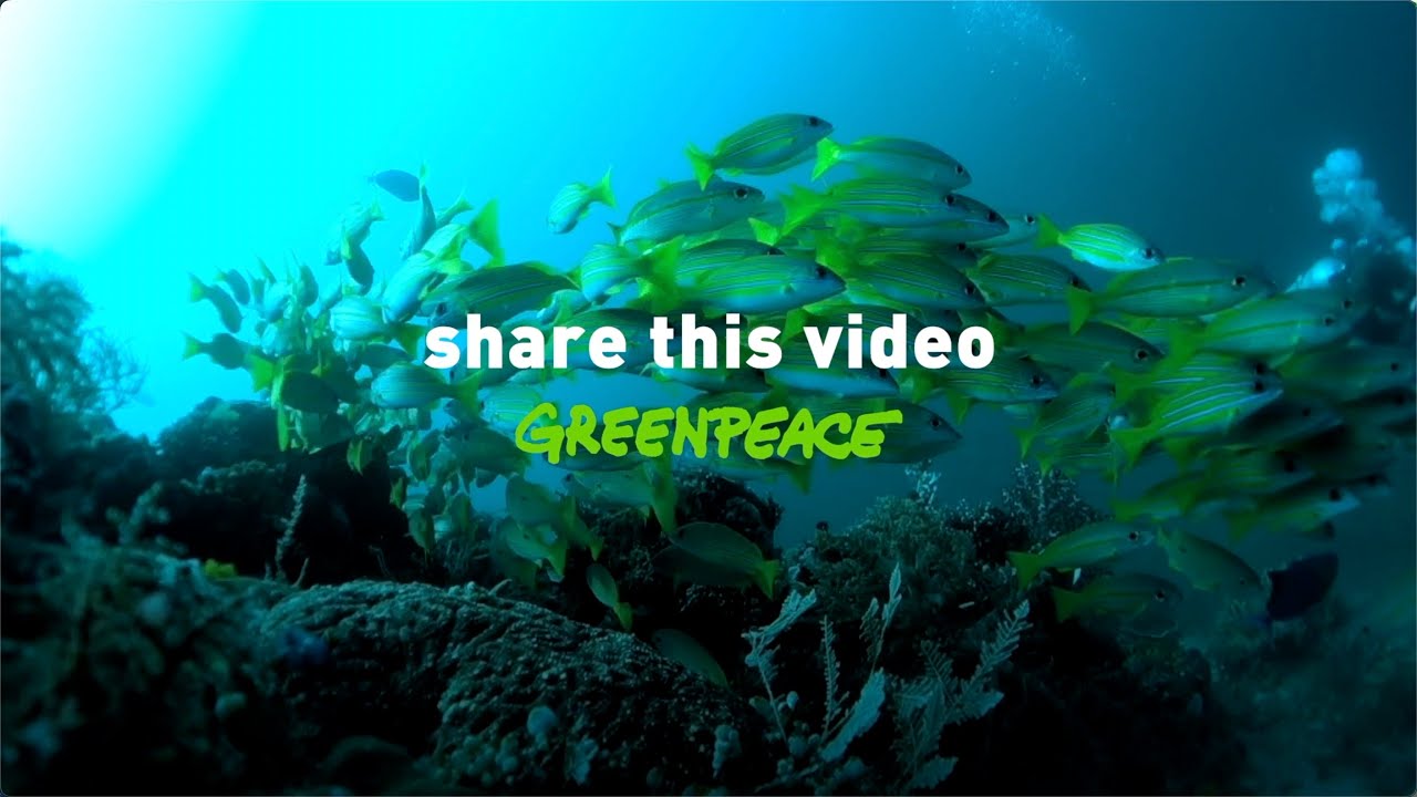 Raja Ampat, the most biodiverse place on the planet