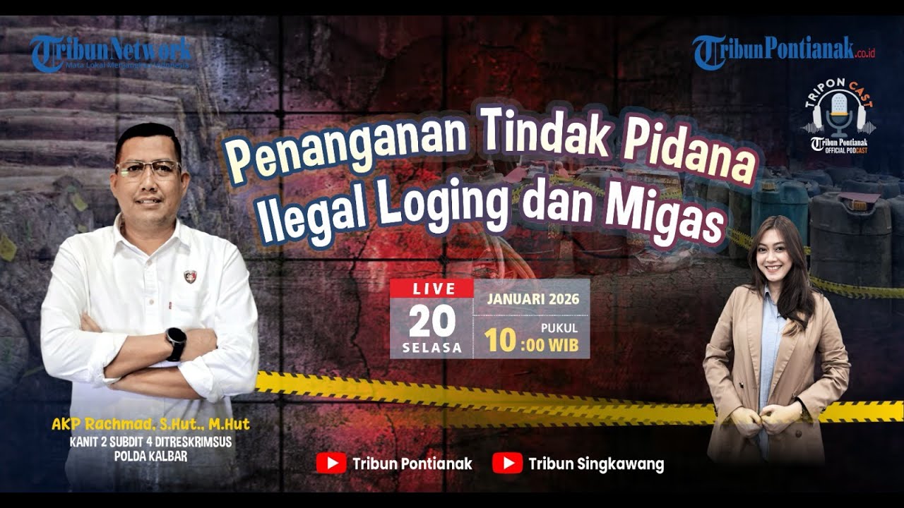 🔵 PENINDAKAN ILEGAL LOGGING DAN MIGAS DI KALBAR OLEH POLDA KALBAR