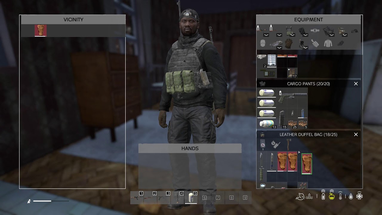 Solo Surviving DayZ !commands - DayZ 1440p