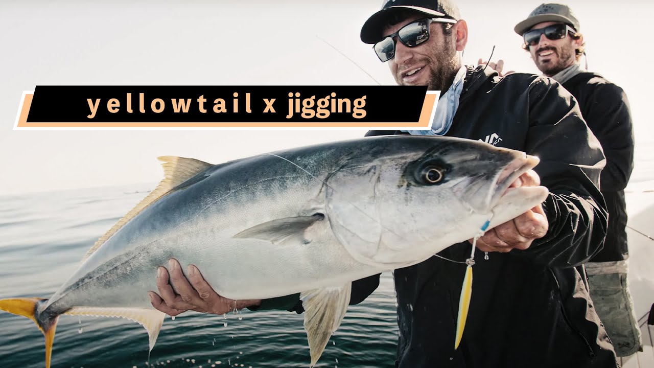 Loreto: Day 2 - One Drift // Endless Yellowtail Fishing