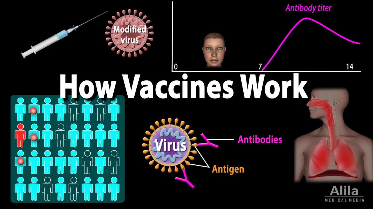 How Vaccines Work, Herd Immunity, Types of Vaccines, Animation