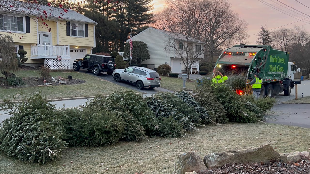 Garbage Truck VS 30 Christmas Trees