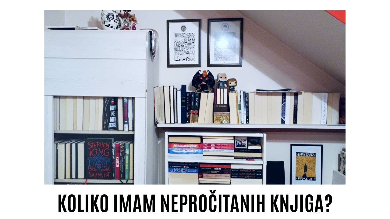 Koliko nepročitanih knjiga imam na svojoj polici?