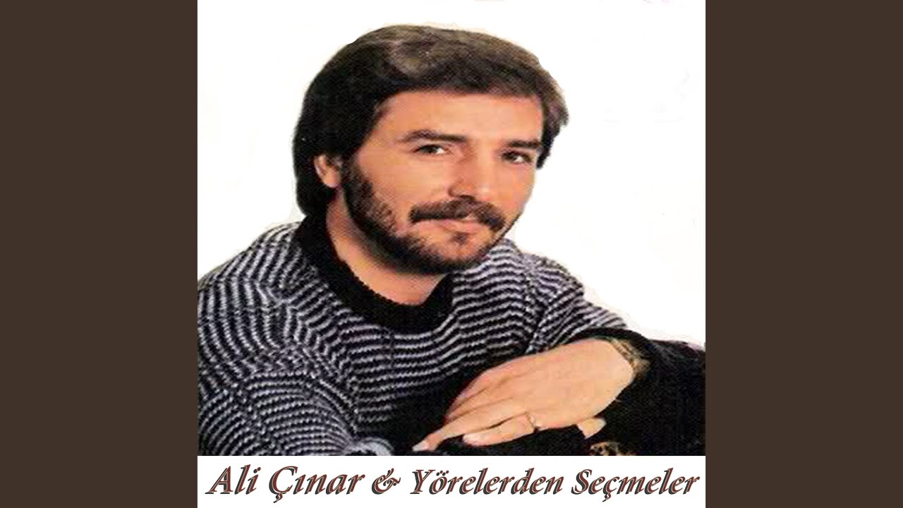 Sevdim Seni
