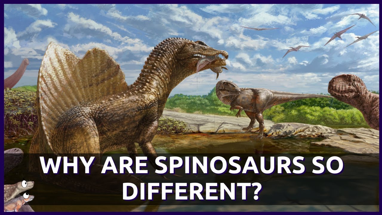 Why are Spinosaurs So Different From Other Dinosaurs? (New Species: Riojavenatrix lacustris)