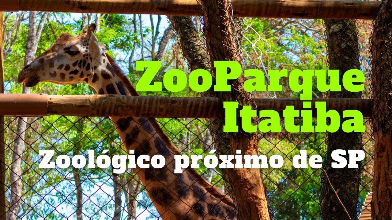 Descobrimos um Zoológico de São Paulo INCRÍVEL! Zooparque Itatiba - 7 MOTIVOS PRA IR