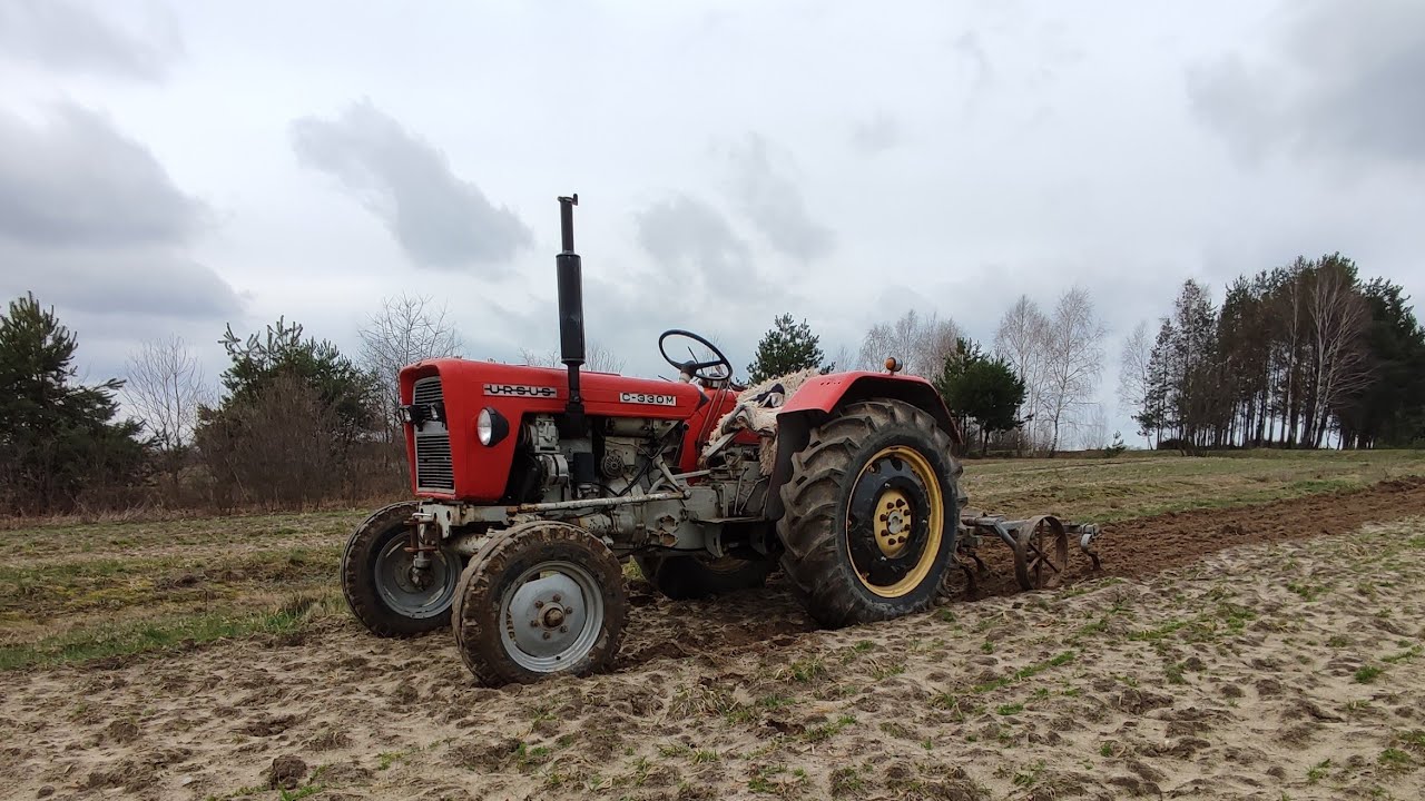 Uprawa ❗ Ursus C-330 💪 Kultywator w akcji 💪 #brutal #sound #power #love #ursus #tractor #poland #dc