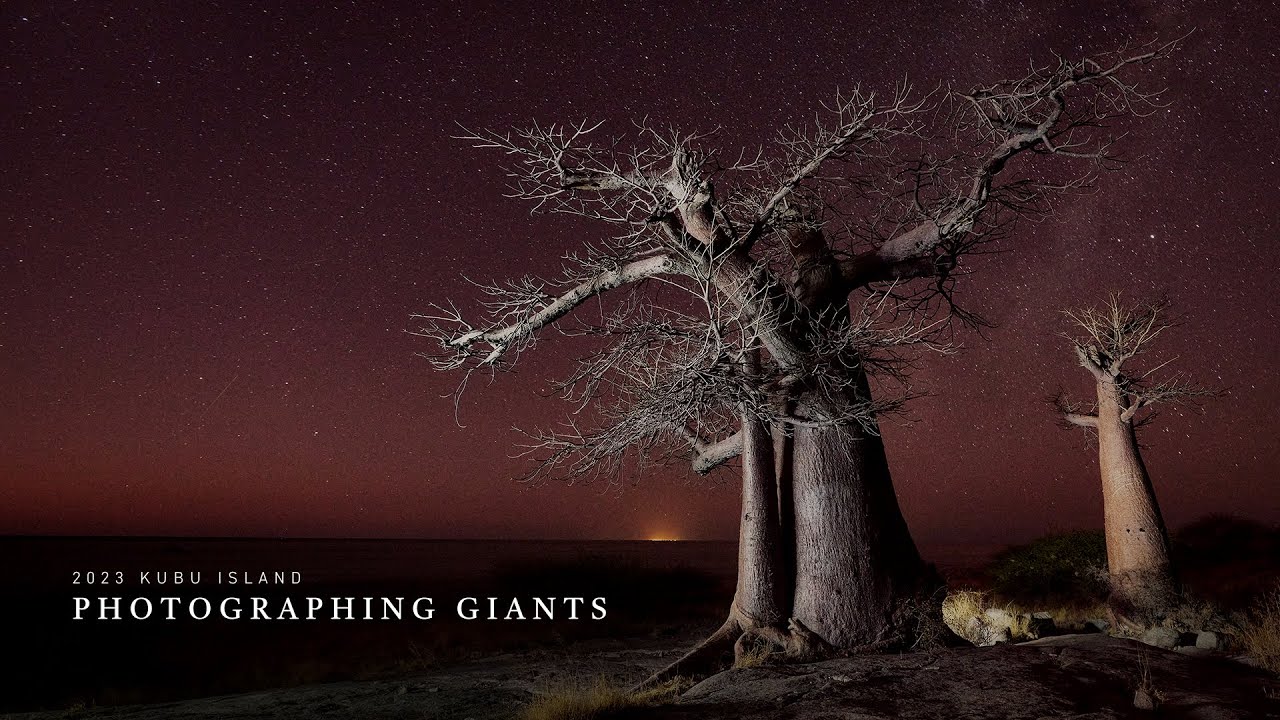 Hunters of Light Kubu Island Workshop 2023. Photographing Giants.