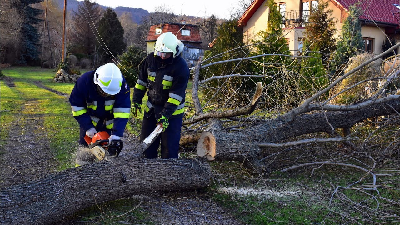 Będkowice, strażacy usuwają powalone drzewo