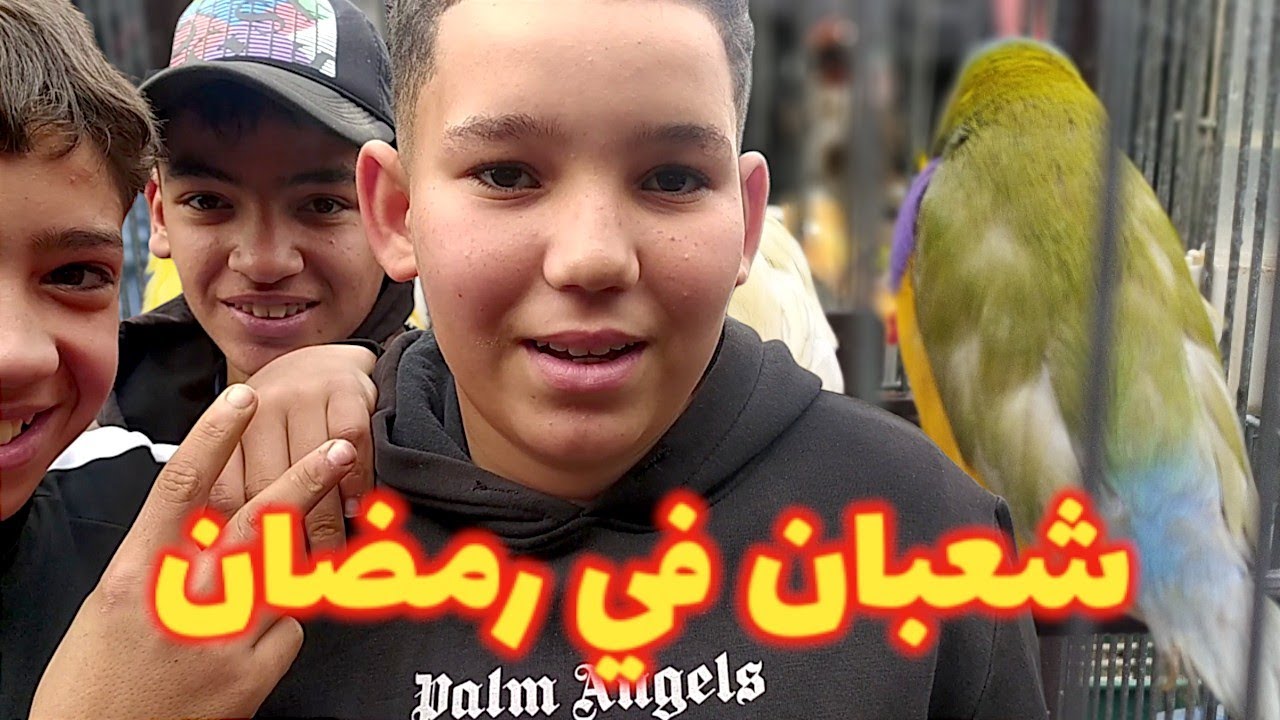 سوق بودواو و سلعة رمضان | طيور الزينة غير المفقود و المطلوب