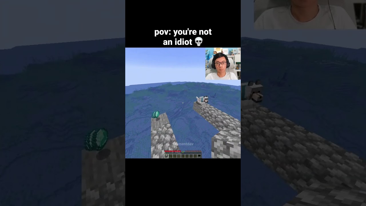 Minecraft Shorts Moment