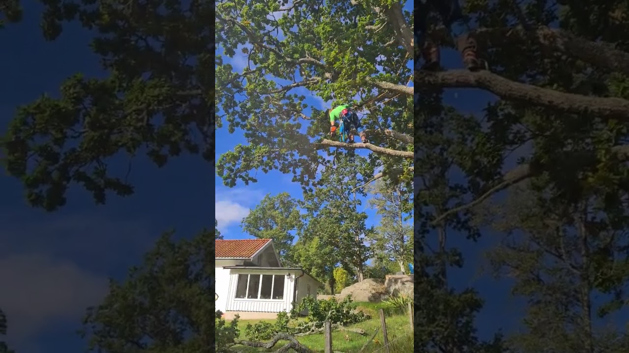 25 maj 2023 Putsat en ek, fixade sj&ouml;utsikten lite...