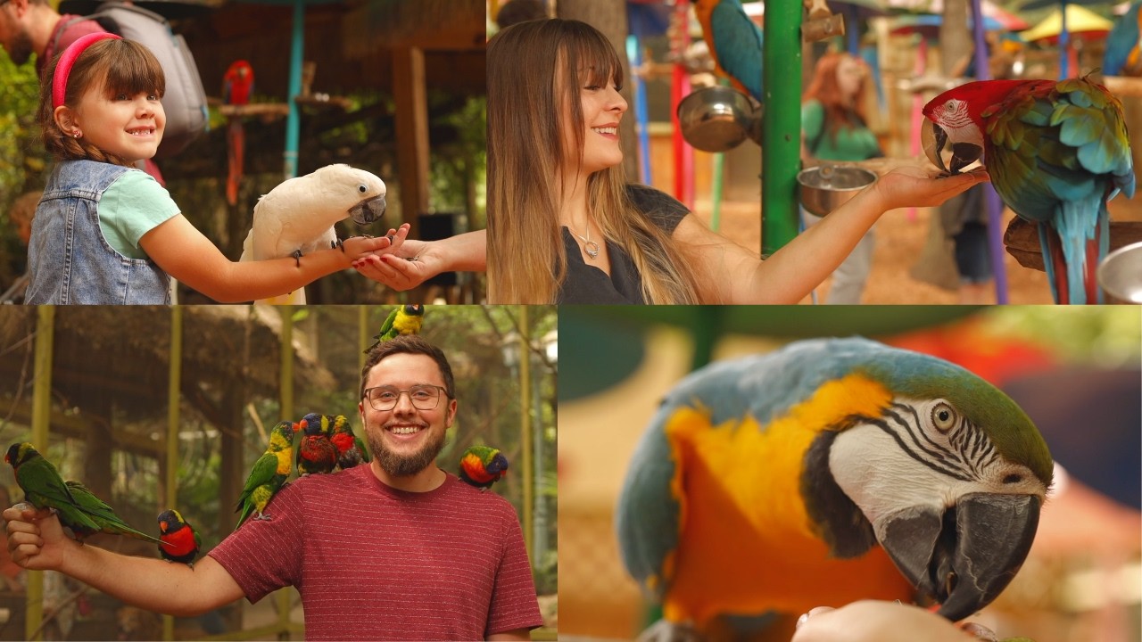Parrot Mountain and Gardens vlog 2025