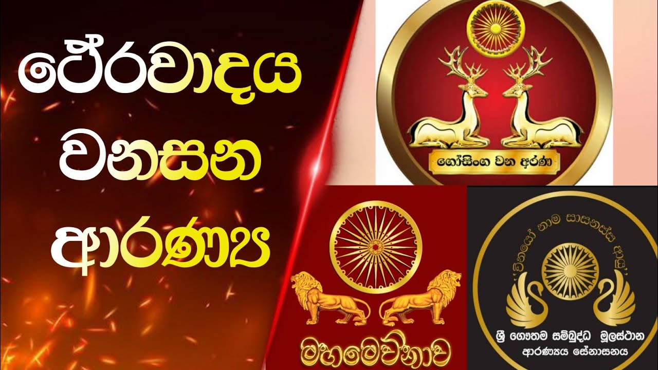 ආරණ්‍ය වාසී  මහ සඟරුවනට යන එන මං නැති කරණ අසපු සූත්තරය ( ආරණ්‍ය නමින් වැඩෙන අසපු පිල්ලි.)
