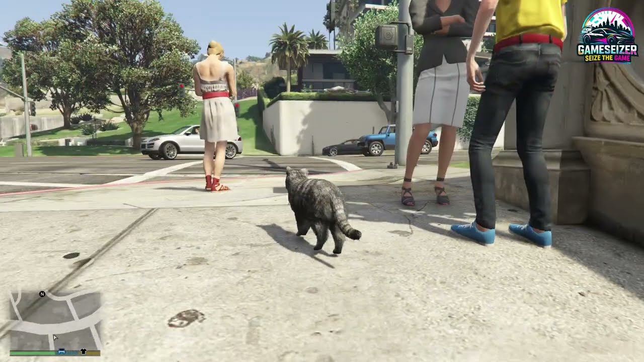 Trolling Players as a Fake Cat in GTA 5 😂💀 ✅