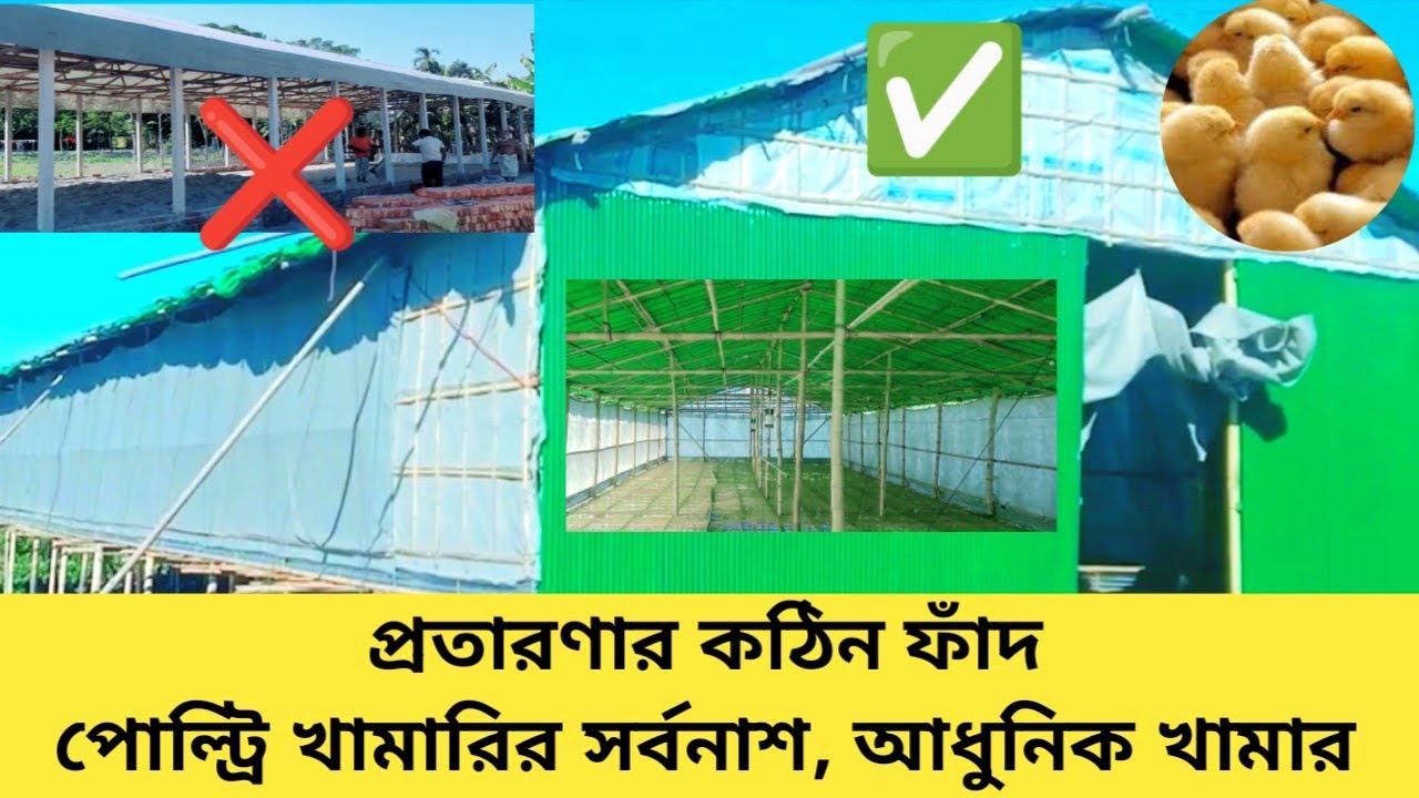 আধুনিক পোল্ট্রি খামার তৈরি করুন, ত্রিপল ও জিও সিট দিয়ে, Korean triple, jeo sheet,