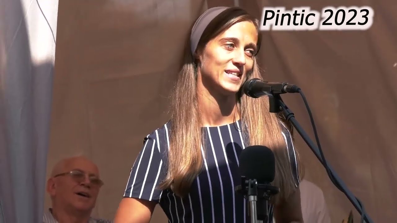 SĂRBĂTOAREA DE LA PINTIC  *Mihaela Creța *(Sătmărean)