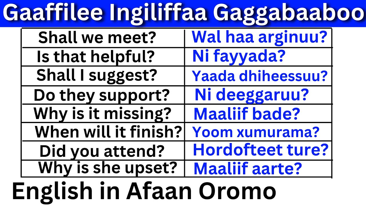 Gaaffilee Ingiliffaa Gaggabaaboo Kutaa 8  (English in Afaan Oromo) English Question in Afaan Oromo 8
