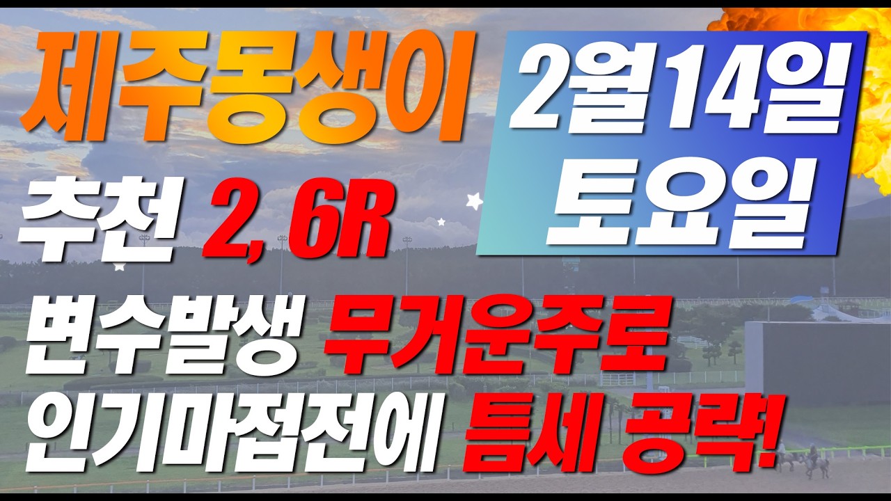 몽생이 제주경마/2월14일/토요일/인기마접전에 틈세공략!