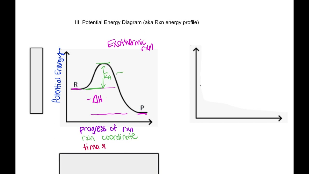 intro to kinetics