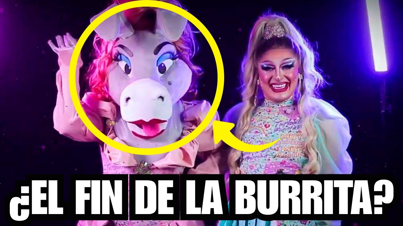 SE REVELA LA VERDAD DEL FIN DE BURRITA BURRONA  CON TURBULENCE