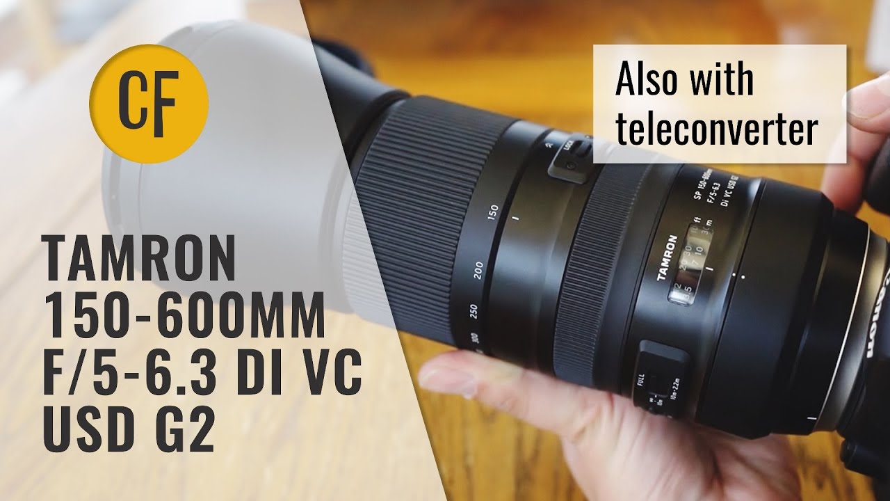 Обзор объектива Tamron 150-600mm f/5-6.3 Di VC USD G2 (и 1,4-кратного телеконвертера) (полнокадро...