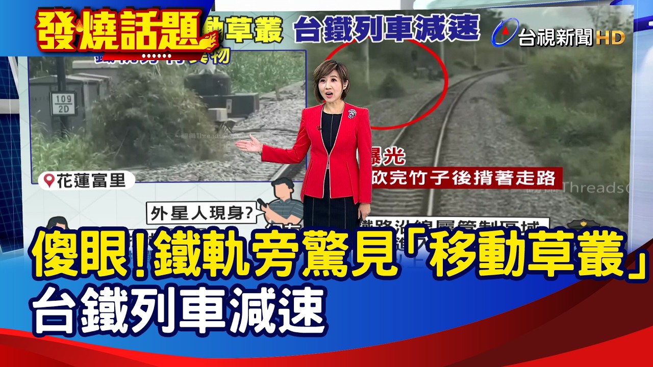 傻眼！鐵軌旁驚見「移動草叢」 台鐵列車減速【發燒話題】-20260210
