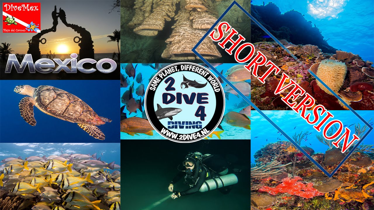 Brotherdive 2016 - Mexico - Short version (FULL-HD - 2dive4)