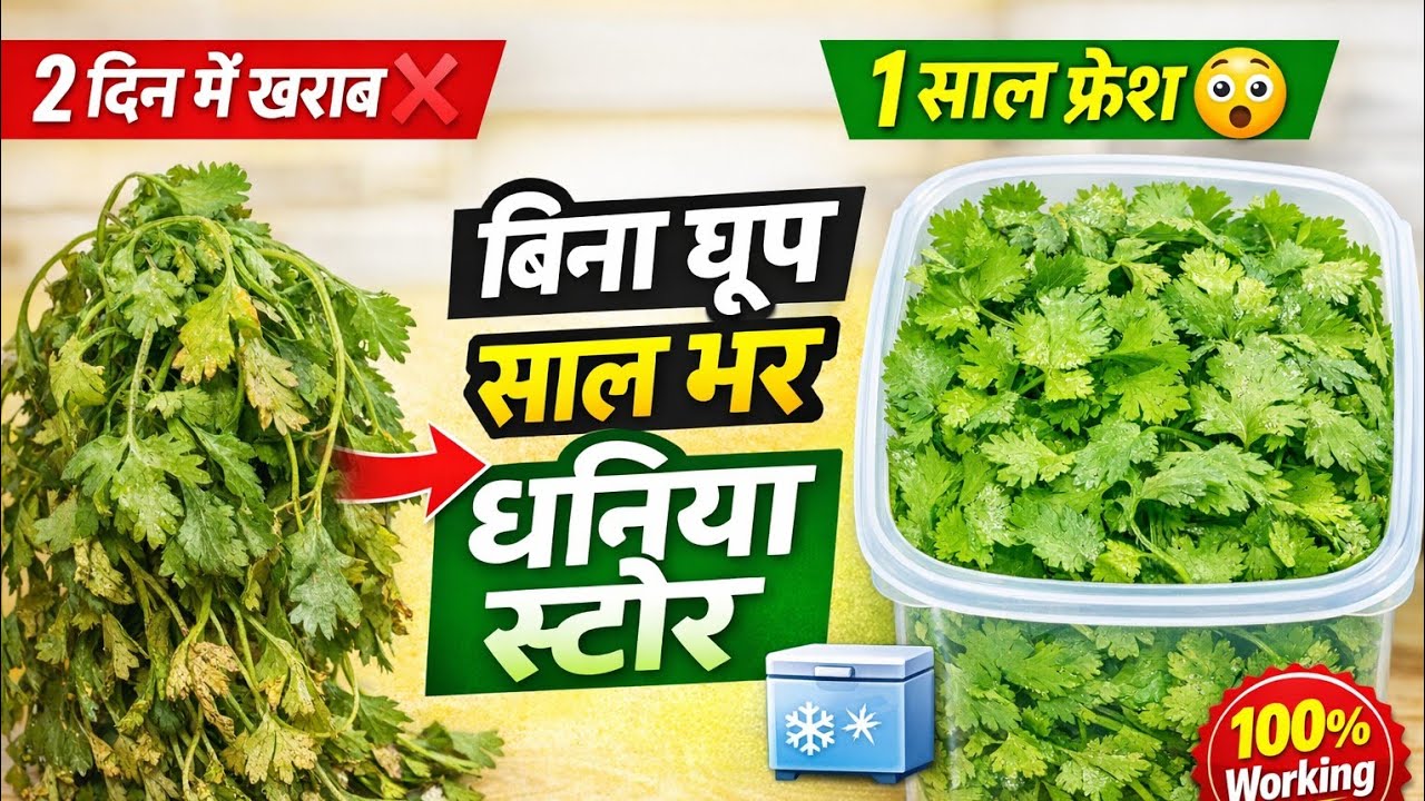 😲 बिना धूप में सुखाए 1 साल तक धनिया स्टोर करने का सीक्रेट आज से पहले नहीं देखा  | Secret Storage ।।