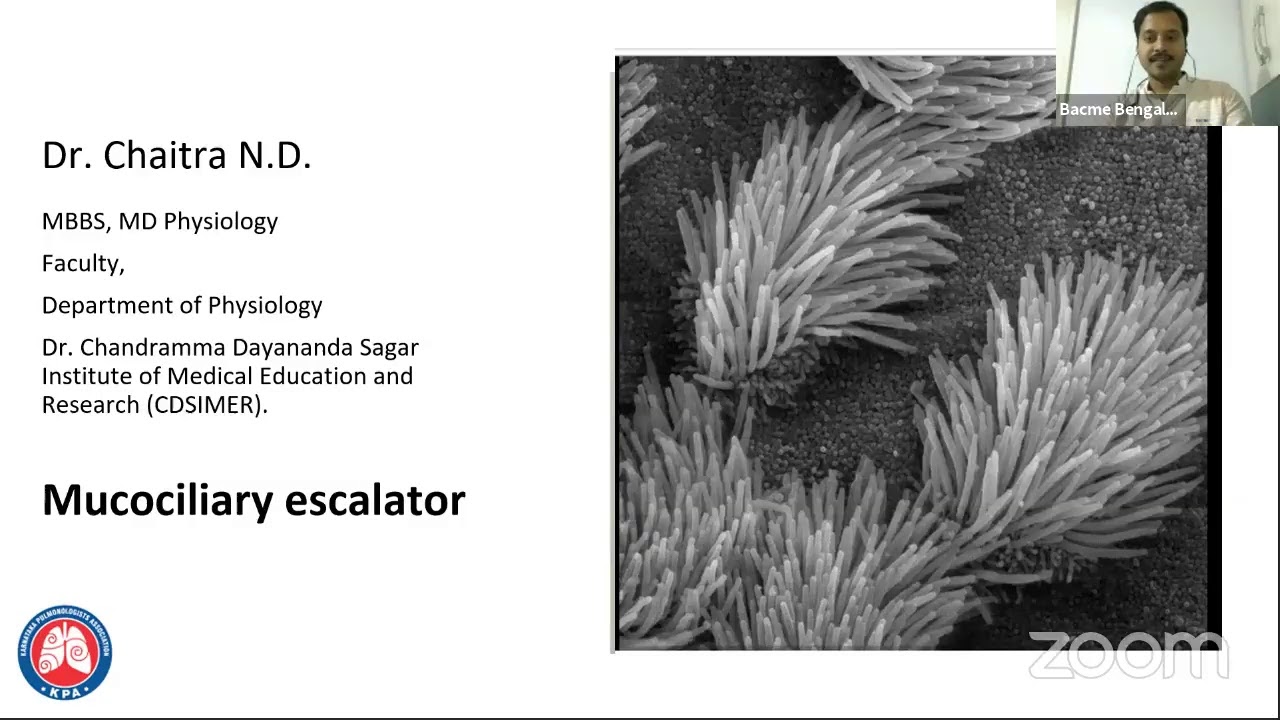 Mucociliary Escalator