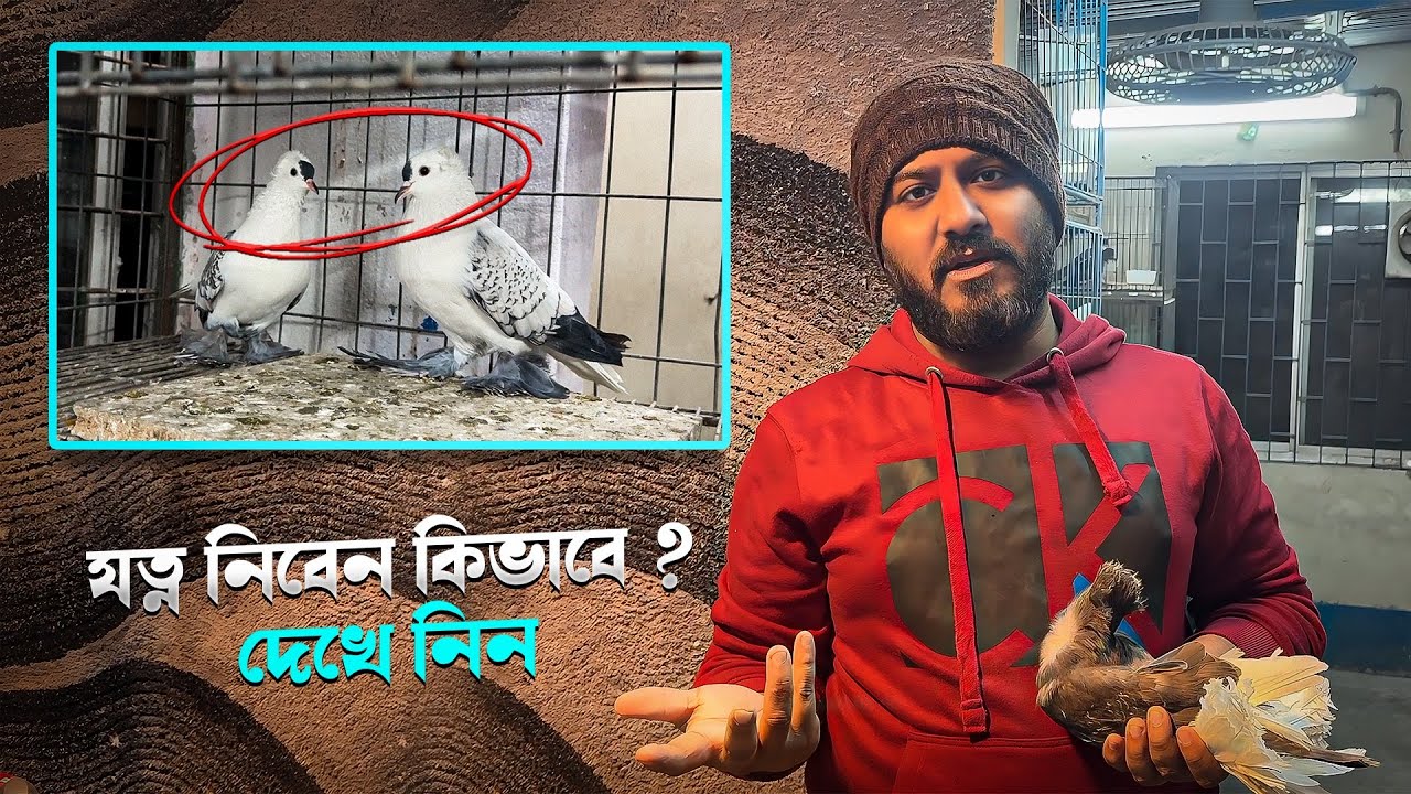 বাবার রং সাদা কিন্তু বাচ্চার রং কালো কেন ?