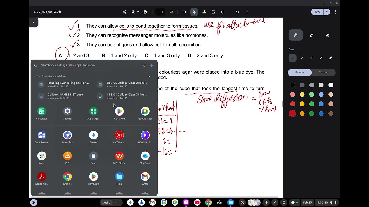 9700 As Level Bio Paper 12 oct/nov 2025 solved Q13 to Q40 part 2