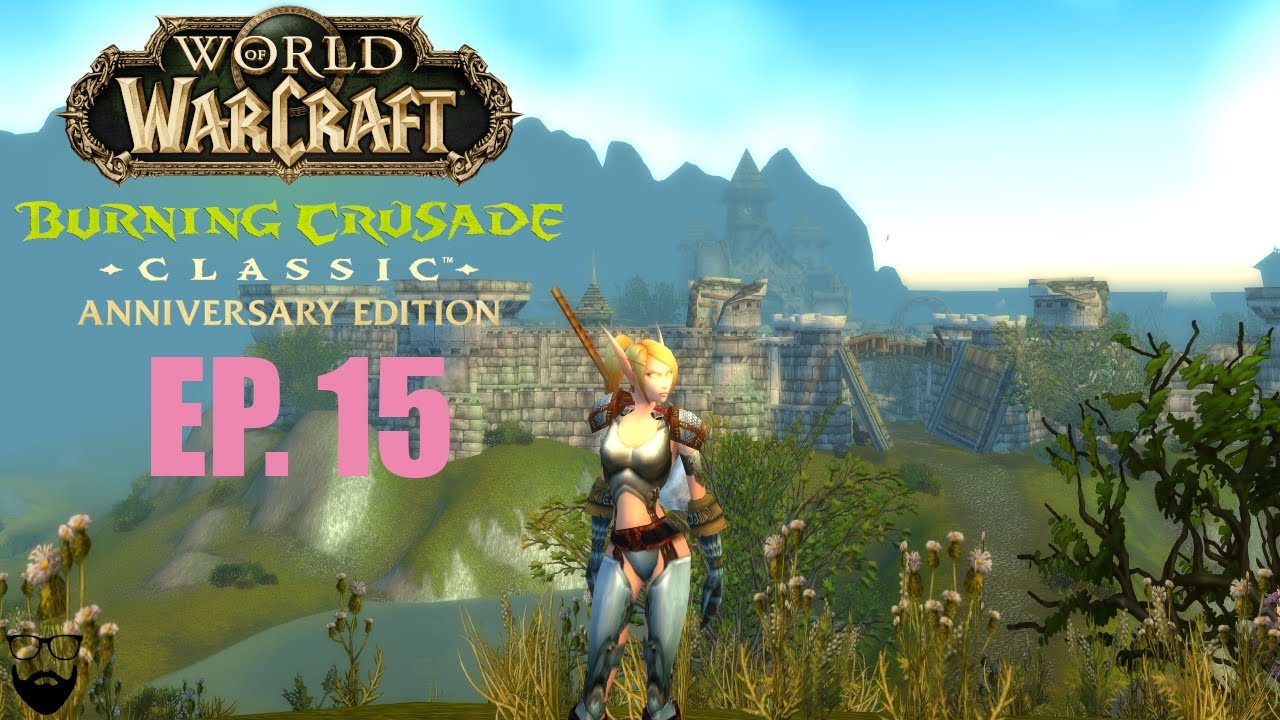 World of Warcraft The Burning Crusade Classic - BE Paladin - Pt 15 - Chill Leveling Gameplay