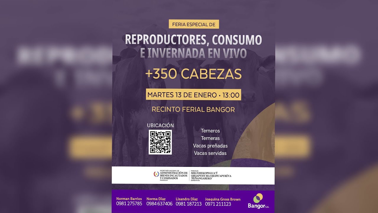 EN VIVO | Bangor // Feria Especial de Reproductores , Consumo & Invernada en vivo