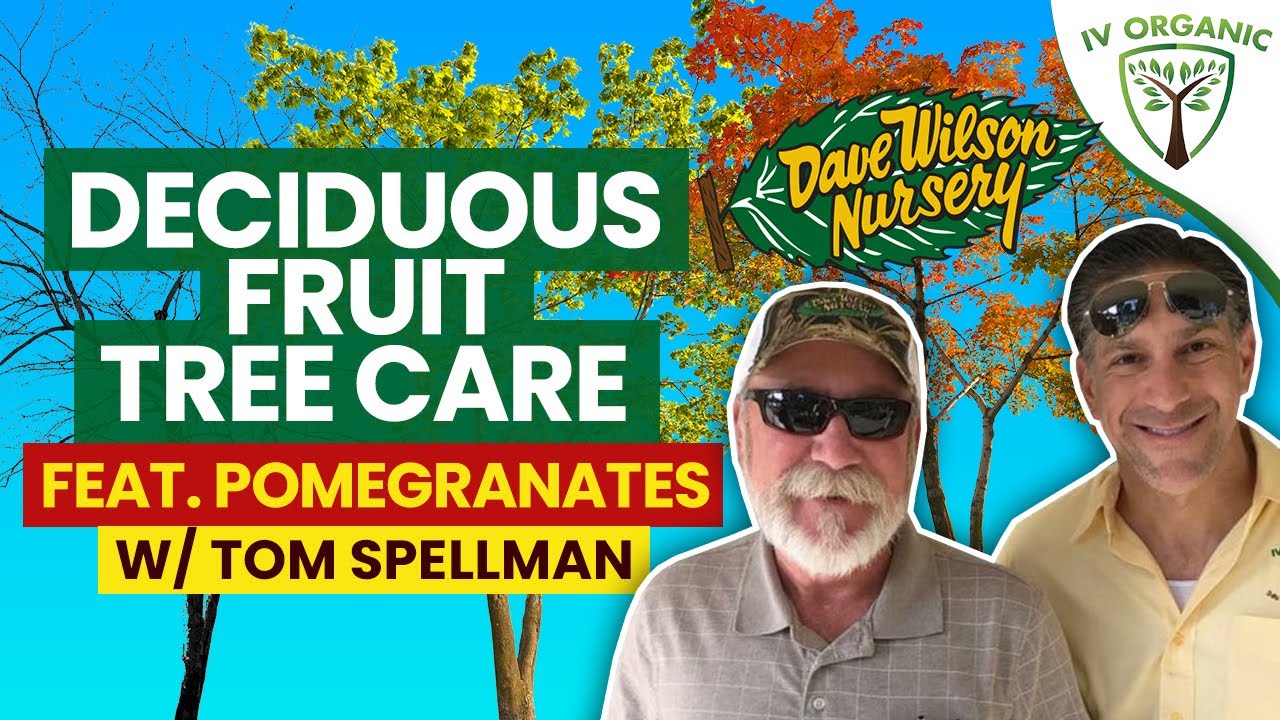 Deciduous Fruit Tree Care | feat. Tom Spellman @Dave Wilson Nursery